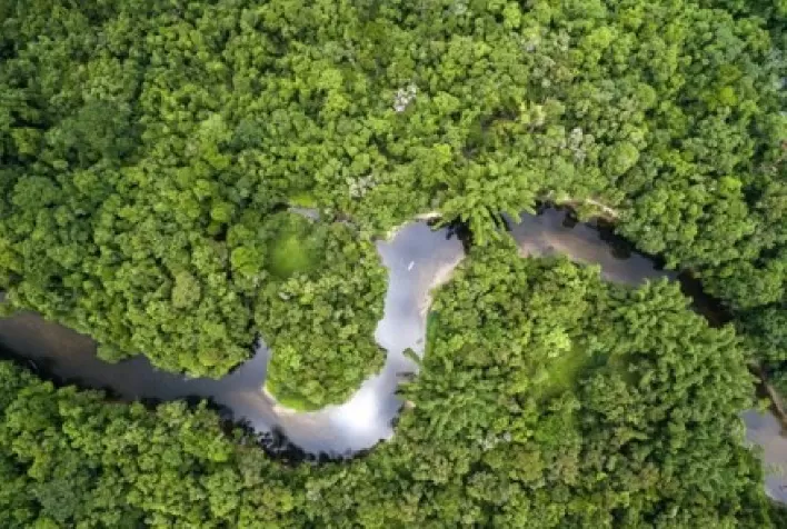 JBS avança em ranking global de sustentabilidade do CDP