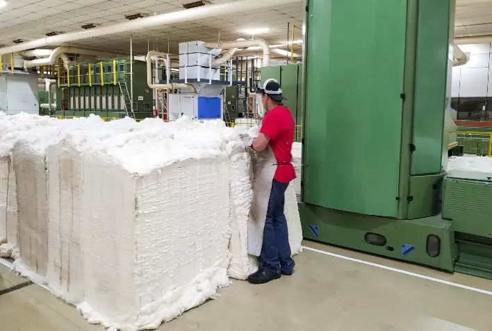Brasil é o segundo maior exportador mundial de algodão