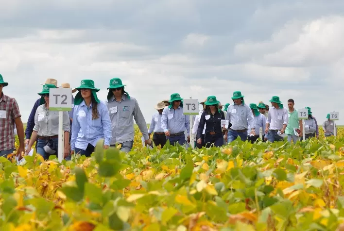 Dias de campo da Fundação MT difundem informações estratégicas para a safra de soja