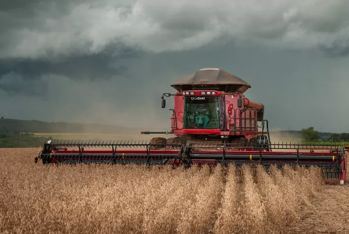 Grãos/AgRural: colheita de soja da safra 2022/23 começa em Mato Grosso, mas umidade limita ritmo