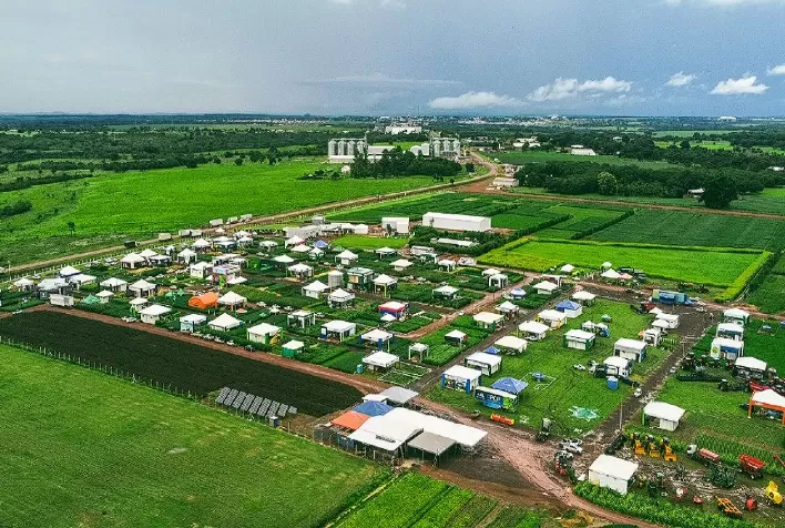 Instituto Soja Livre apresenta 12 cultivares de soja convencional em Mato Grosso