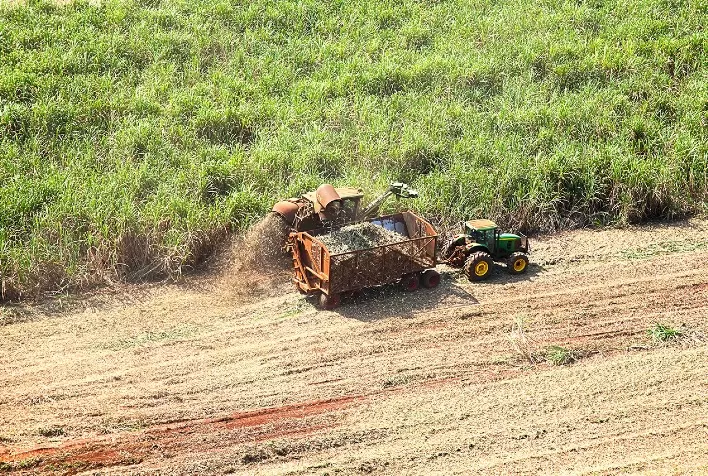 Usina Jacarezinho registra produtividade agrícola 21% acima da média do Centro-Sul em outubro