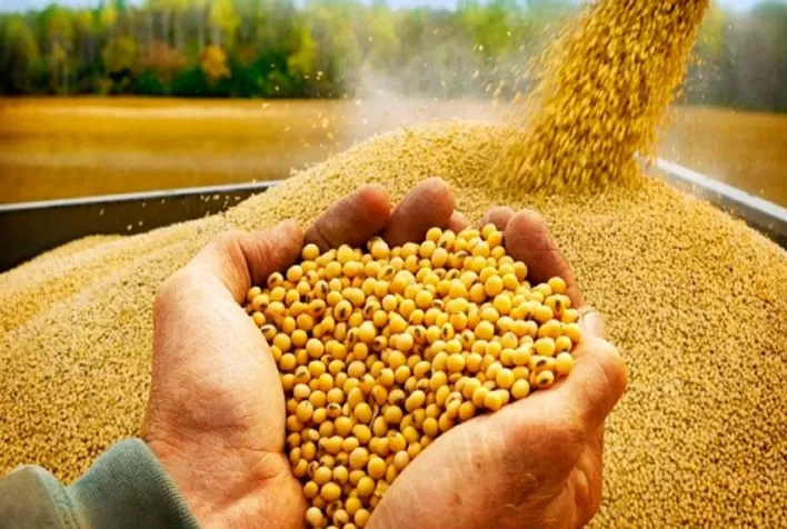 Soja: Mercado volta a subir em Chicago nesta 4ª feira com olhos sob a Argentina