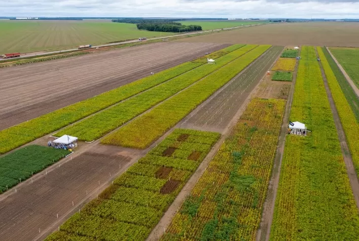 Multinacional apresenta herbicidas para soja durante evento em Mato Grosso