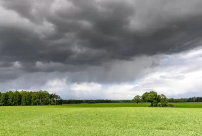Mudanças climáticas, gargalos na infraestrutura e agricultura de baixo carbono lideram o top 10 de oportunidades e riscos para o Agronegócio