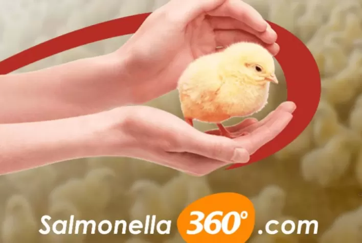 Salmonella 360º: Elanco lança site para contribuir com conhecimento científico sobre a zoonose