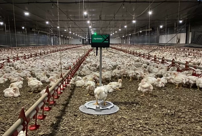 Agrisolus firma parceria para desenvolvimento de solução de gerenciamento de aviários