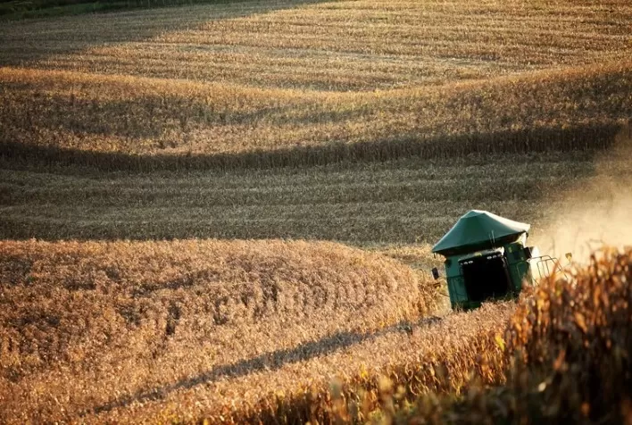 Valor da Produção Agropecuária fecha 2022 em R$ 1,189 trilhão