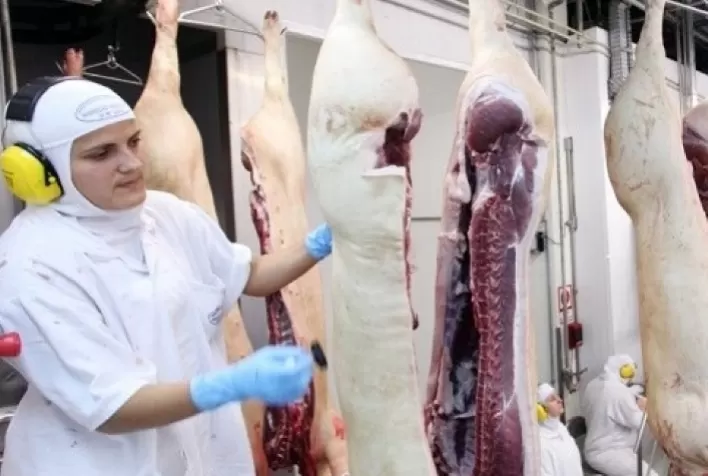 Mesmo com desaceleração, embarques de carne de frango sinalizam aumento próximo de 20% no mês