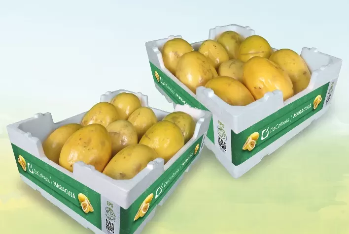 Conservadoras DaColheita em teste para atender mercado de maracujá