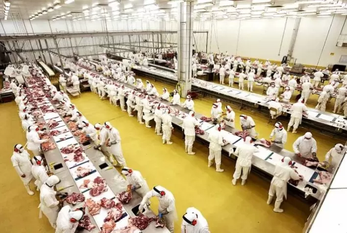 Agroindústria cresce novamente e acumula uma expansão de 1,3% em 2022 informa FGVAgro