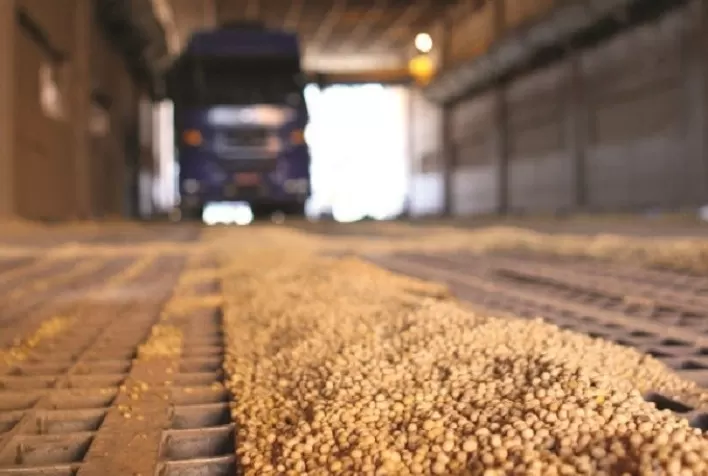 Venda de soja em Mato Grosso para abrir espaço nos armazéns