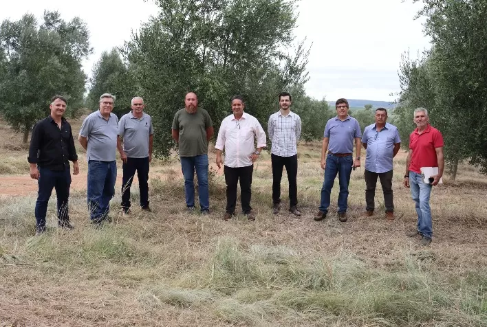 Organizadores acertam detalhes para a Abertura da Colheita da Oliva