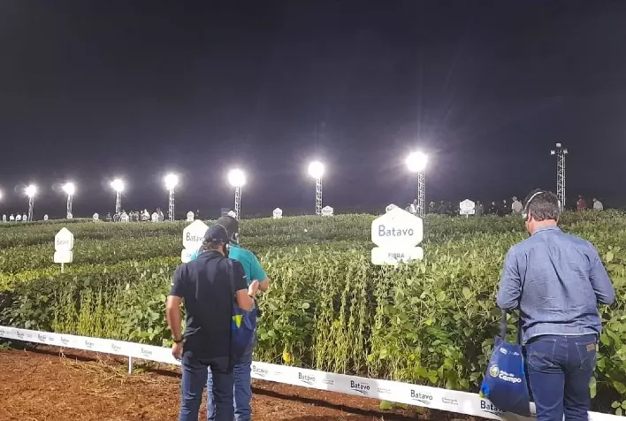 Frísia prepara Noite da Soja Sementes Batavo em Carambeí