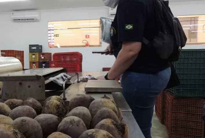 Fiscalização do Mapa detecta falhas no uso de sistemas de rastreabilidade de orgânicos em SP