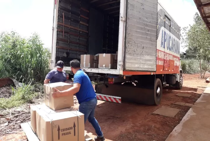 Produtores do ginseng de Querência do Norte, no Paraná, ampliam a exportação em 64%