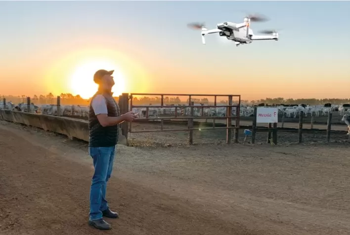 Cargill lança CattleView para oferecer gestão de confinamento em tempo real e fomentar Bem-Estar Animal
