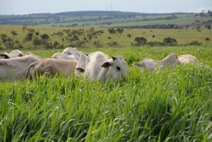 Representantes do agronegócio brasileiro sinalizam panoramas, tendências e soluções em evento no Paraná