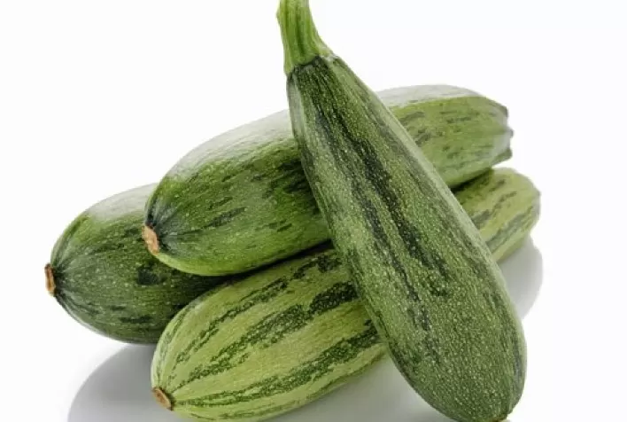 Conheça os benefícios e como plantar abobrinhas em sua horta