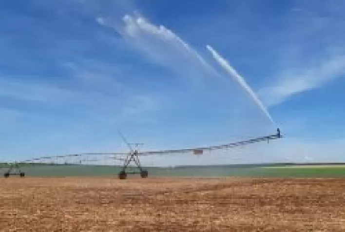 Eficiência na irrigação será um dos destaques da Coopershow