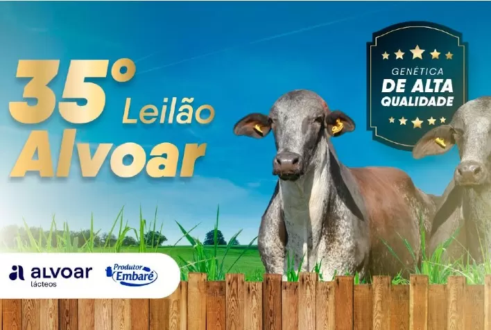35º Leilão Embaré será realizado nesta quinta (26/01), na Granja Camponesa