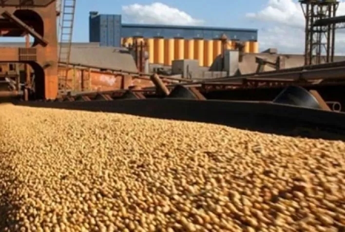 Com supersafra de soja, Brasil deve exportar 93 mil de ton em 2023