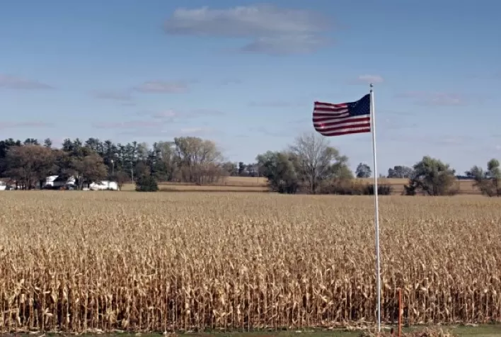Plantio de milho dos EUA deve atingir 90,5 mi de acres em 2023, diz S&P Global