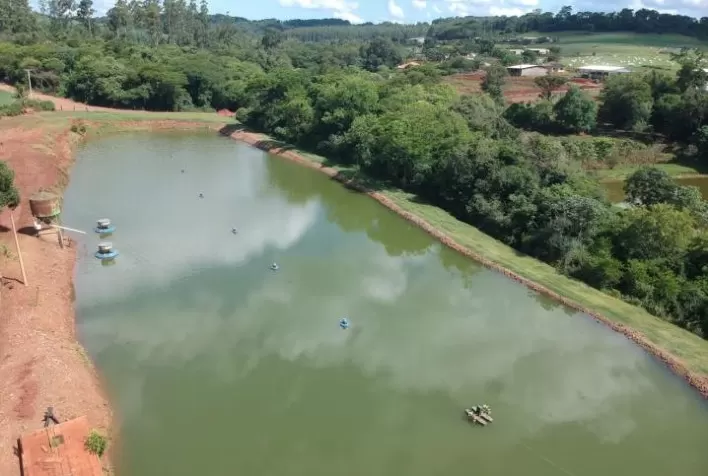 PSICULTURA: Copagril e Copacol firmam parceria para expandir produção de tilápias e participação no mercado