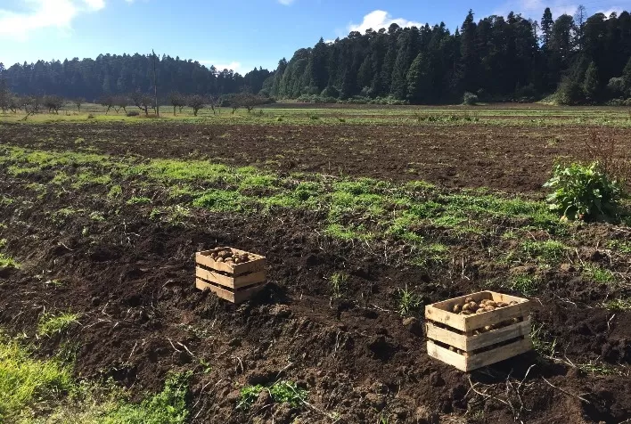 TMF Fertilizantes lança nova linha TMF.NUTBIO visando maior capacidade produtiva dos solos