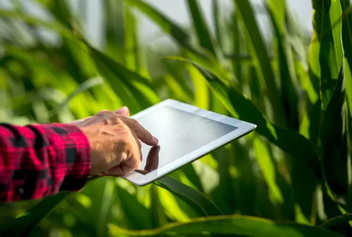 Formação Profissional Rural e Promoção Social
