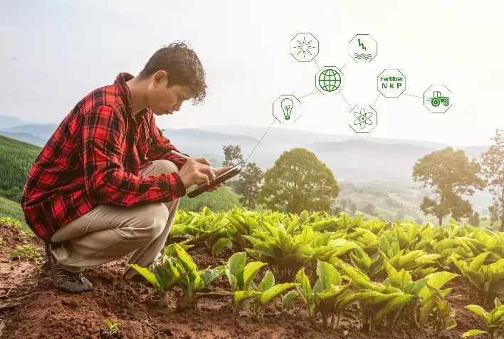 O papel essencial da agricultura
