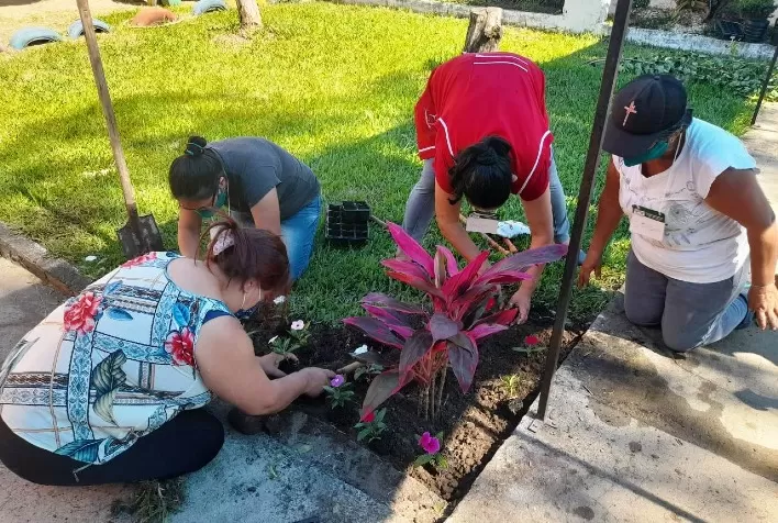 De floricultura a cultivo de plantas medicinais: veja os cursos oferecidos pelo Senar/SC no Sul
