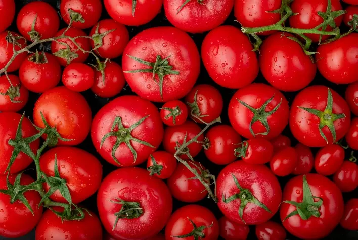 Dia do Tomate: conheça variedades e benefícios para saúde