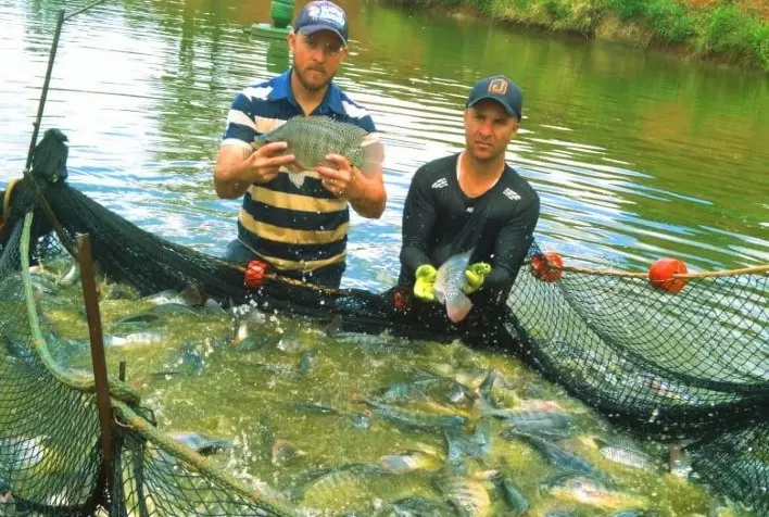 Piscicultor aumenta produtividade e torna pescados mais saudáveis após adoção da biotecnologia