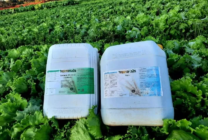 Produtores rurais investem em nutrição vegetal para garantir uma boa colheita e evitar perdas
