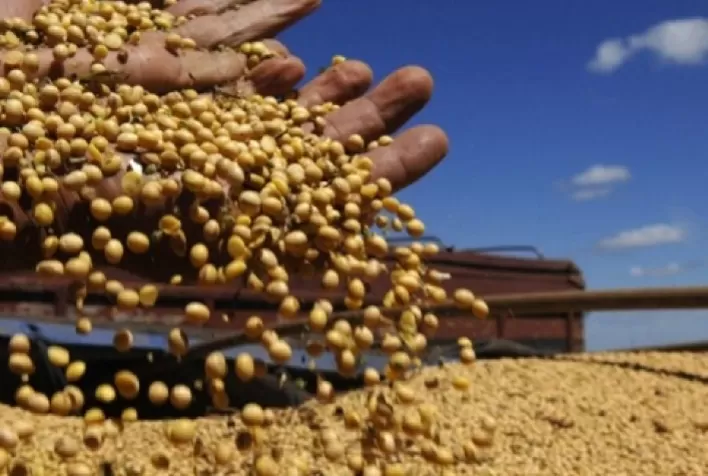 Sojicultores ganham mais tempo para se inscrever no Desafio Nacional de Máxima Produtividade de Soja
