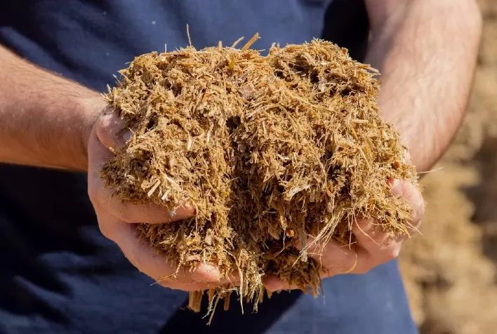 Produtores poderão fazer análise rápida de silagem no Show Rural Coopavel