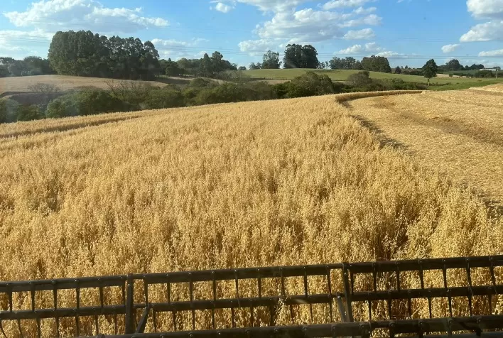 Nova opção de dosador de fertilizantes será lançada no Show Rural Coopavel