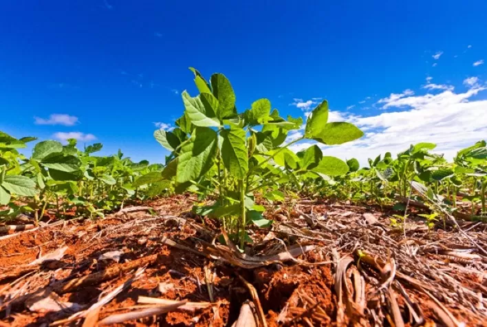 BASF lança fungicida para soja com ingrediente ativo inovador no Show Rural Coopavel