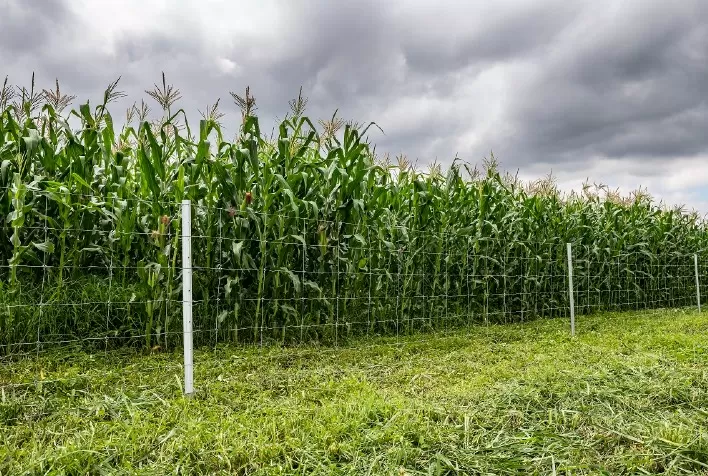 Com nova marca, Belgo Arames leva soluções para proteção de propriedades, rodovias e ferrovias ao Show Rural Coopavel