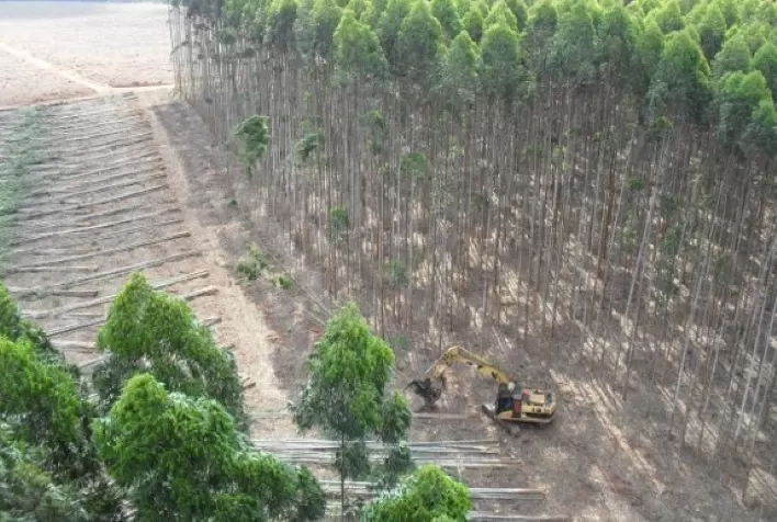 Dexco expande colaboração com ecossistema de inovação em agro e mira a digitalização 4.0 de suas florestas