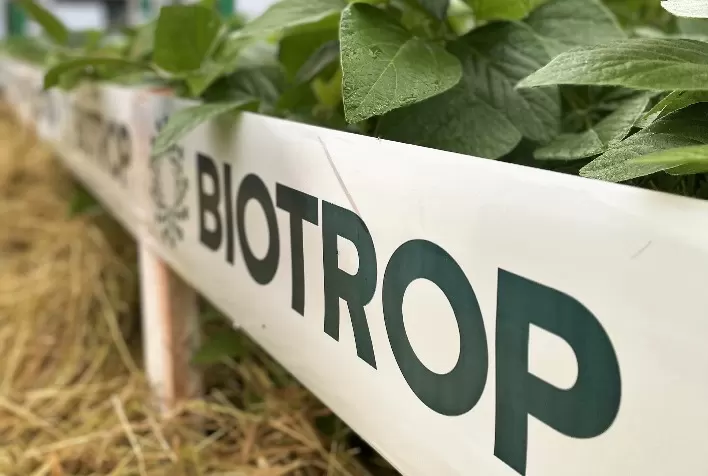 Biotrop leva tecnologias biológicas inovadoras para soja e milho ao Show Rural Coopavel