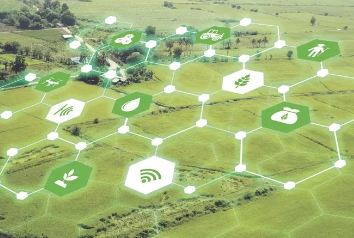 DemoDay da SLC Agricola apresenta soluções de startups para o agronegócio