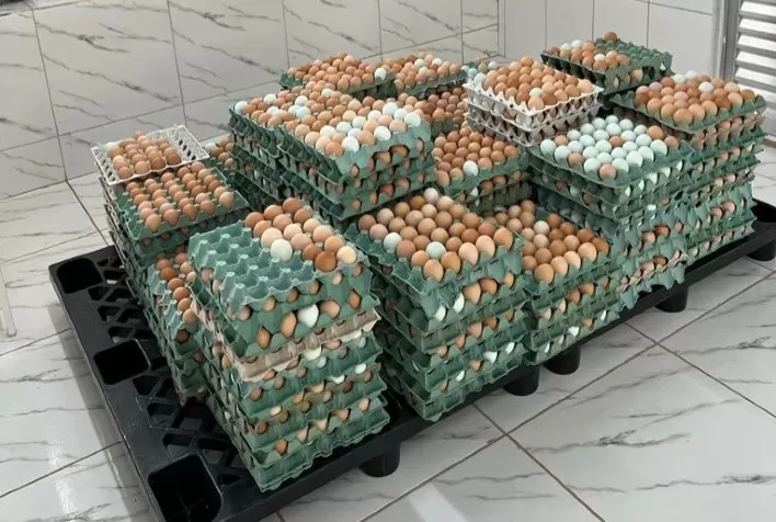 Mercado de ovo caipira é promissor em Minas Gerais