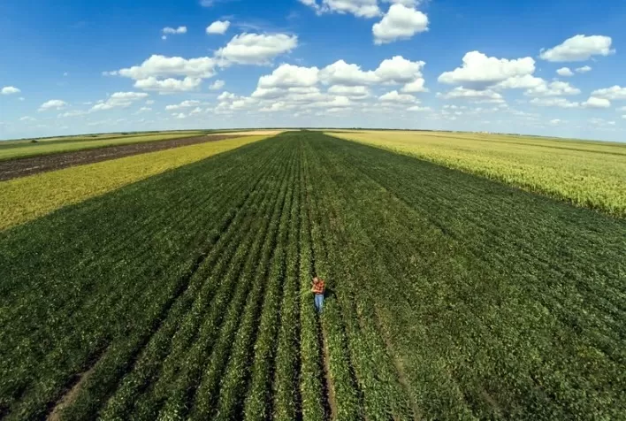 Liberação do crédito rural alcança R$ 222,8 bilhões em sete meses do atual plano safra