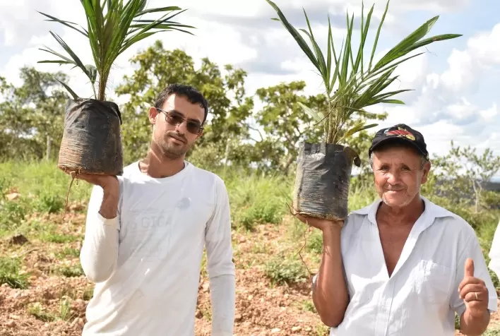 Secretaria de Agricultura apoia projeto de plantio de macaúba em Jaboticatubas