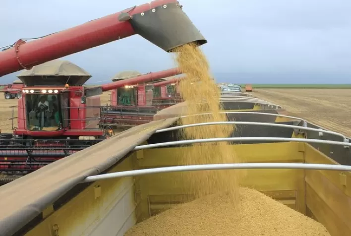 Soja: Imea eleva projeção de produtividade para 60,43 sacas por hectare em MT