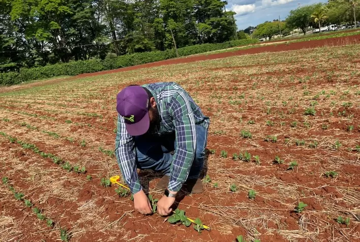 Dia de Campo apresenta resultados de tecnologias das startups do Cocriagro aplicadas na Smart Farm