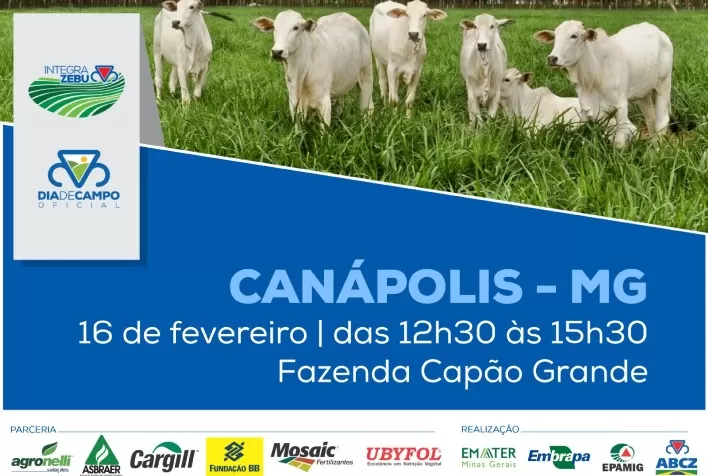 Manejo e manutenção de pastagem é tema em Dia de Campo do Integra Zebu em Canápolis (MG) no próximo dia 16