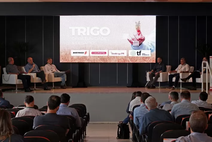 Painel realizado no Show Rural aborda oportunidades do trigo para a indústria moageira